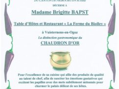 Chaudron d'or 001